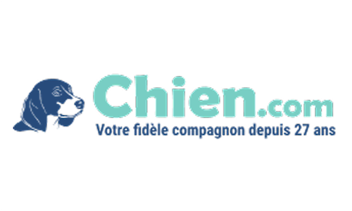 Chien
